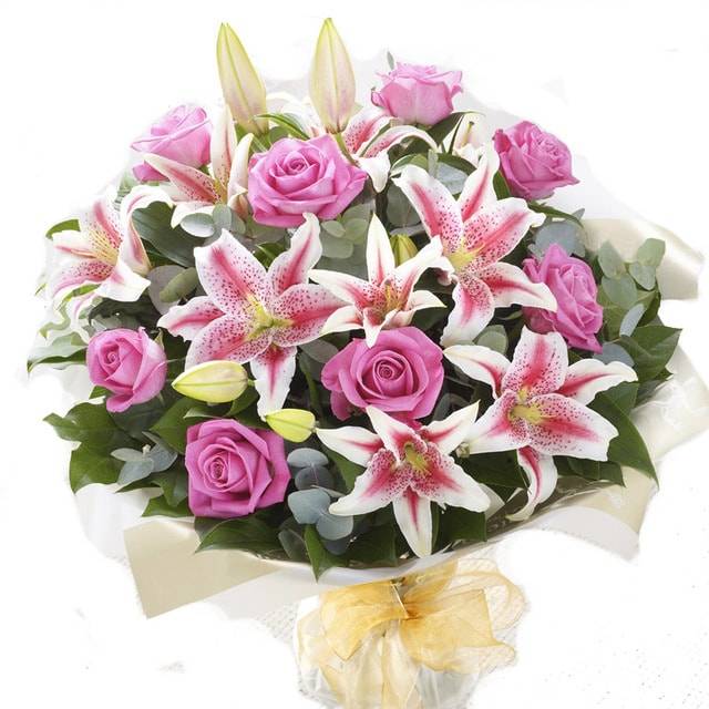 Морская звезда Морская звезда